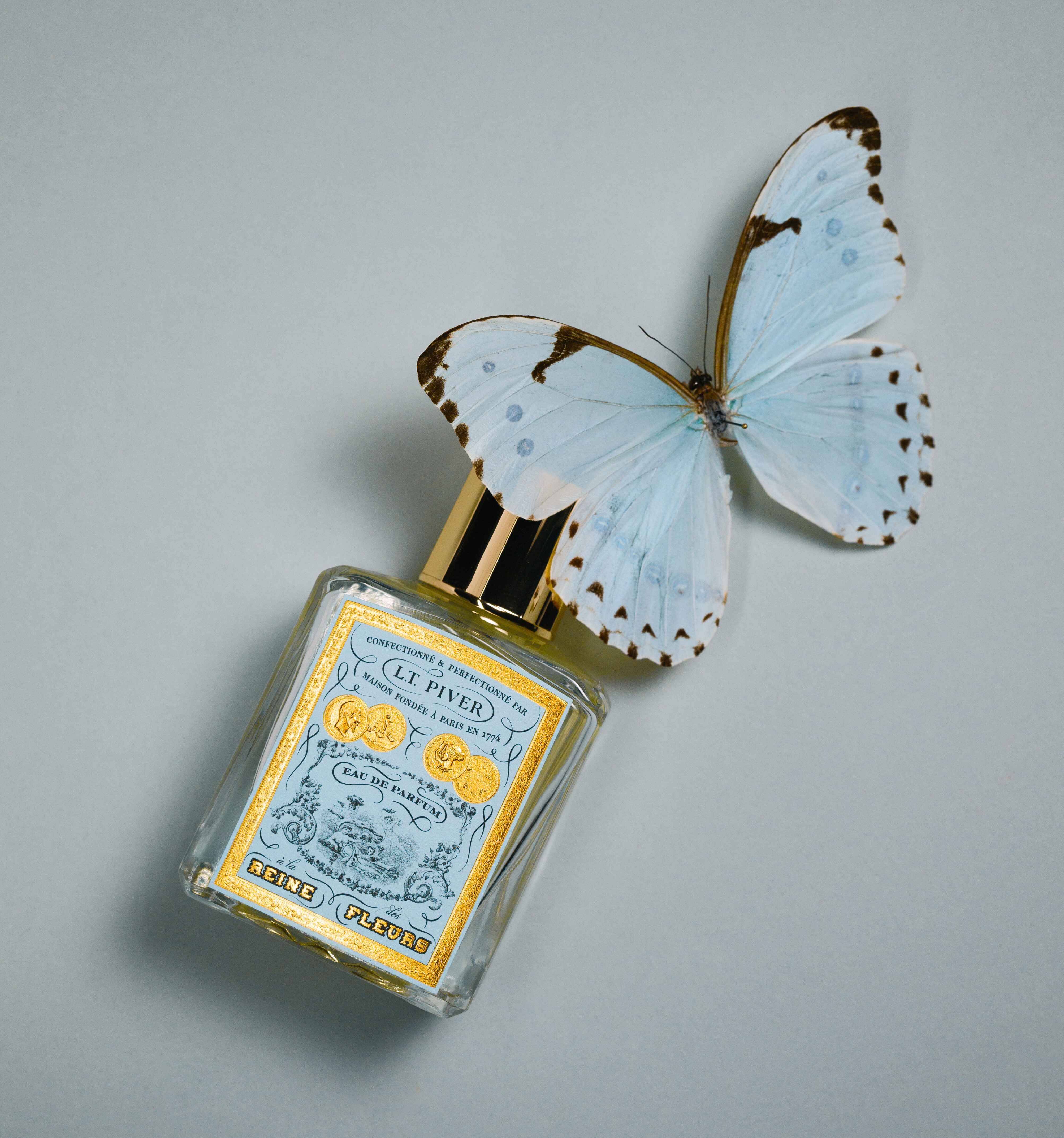 À La Reine des Fleurs : un parfum historique réinventé en Eau de Parfum