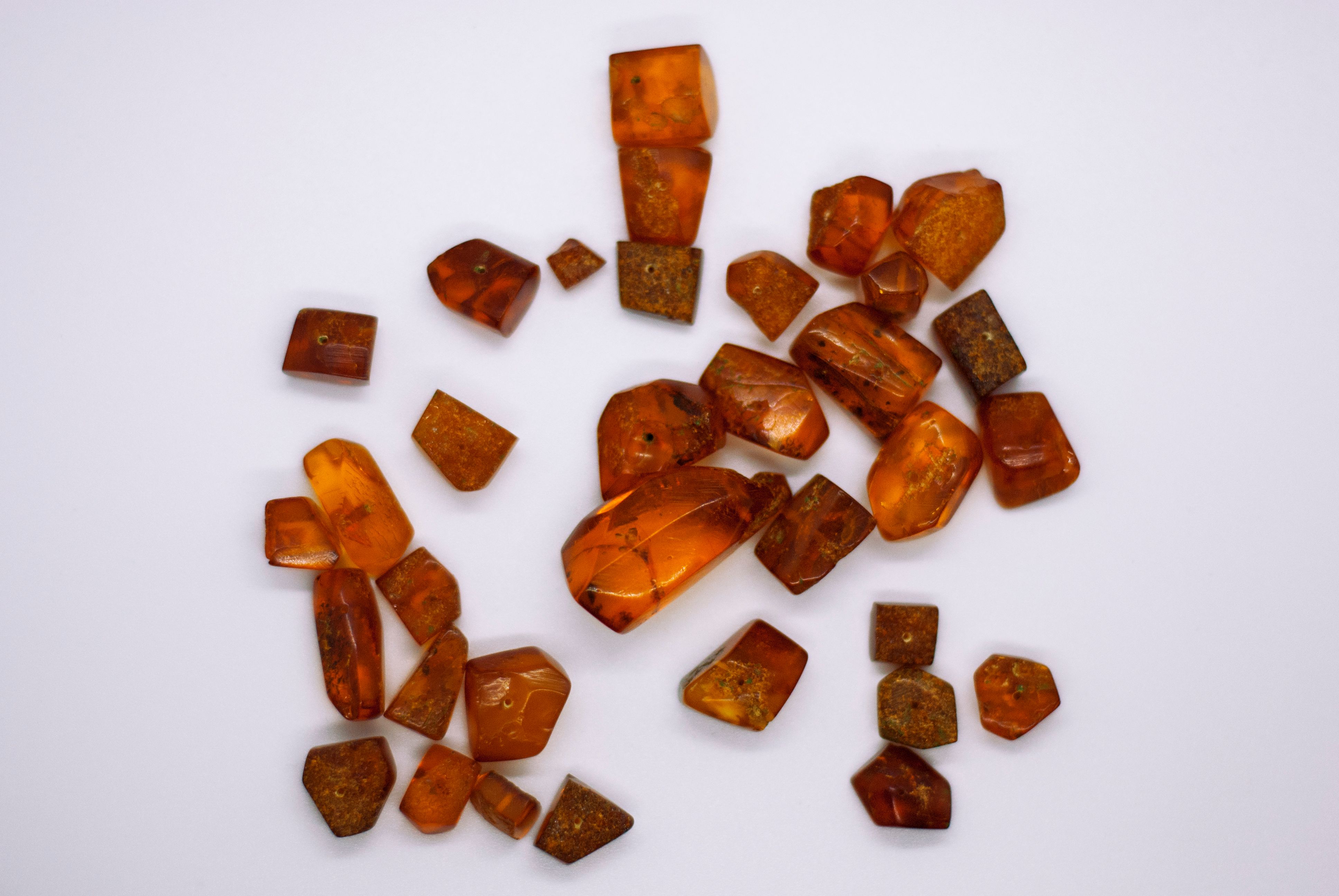 Amber, Leather, Vanilla: The Trio of Autumn